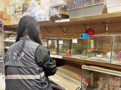 動物診所及寵物店間隔設備要求公布